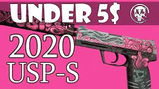 BEST USP-S Skins UNDER 5$ | 2021!