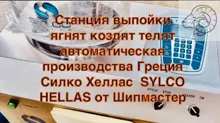 Станция выпойки ягнят козлят телят автоматическая, производства Греция Силко Хеллас SYLCO HELLAS