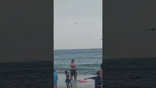 Dragonflies Invade Beach in Rhode Island