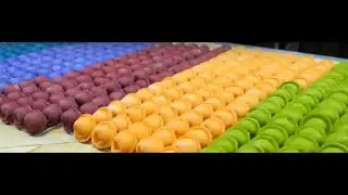 ПЕЛЬМЕШКИ, КОТОРЫЕ ЛЮБЯТ МЕНЯ