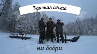 Проверка капканов на бобра/жарим печень бобра/уха на костре/таежный быт и рыбалка.