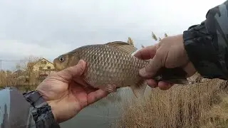 Карась на спиннинг ( отводной поводок ).