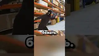 Прятки с бульдозером