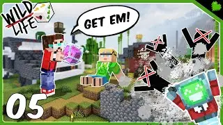 COMBO KABOOM! | Wild Life SMP | Ep 05