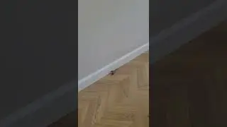 ВОТ ПОЧЕМУ ЦЕНА ЗА ПЛИНТУС ТАКАЯ ВЫСОКАЯ У НАС! 