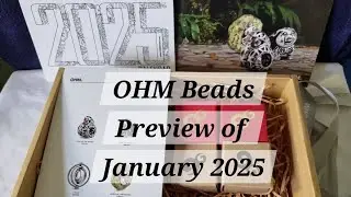 OHM Beads Preview of January 2025