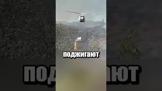 Пожарные тушат пожар огнем