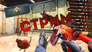 ►Стрим CS:GO Биг-Стар◄