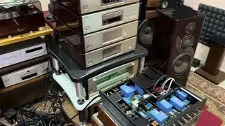 Акустика Diatone ds 20000 Limited Emotions