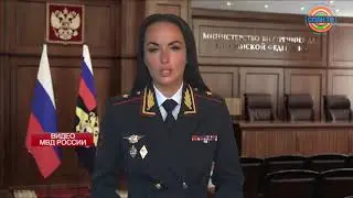 Подпольный цех по печати акцизов на табак закрыли в Солнечногорске