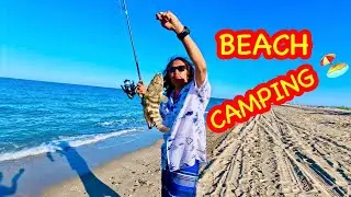 BAJA CALIFORNIA MEXICO BEACH CAMPING 3rd EXPEDITION in  4K UltraHD