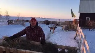 Канадский фермер - 46