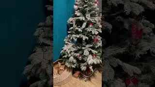 Мартин в ожидании Нового года  #рождество #елкановогодняя #котики