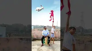 Catching horse, cow, rabbit & goat vs dancing frog, joker & red alien funny vfx magic