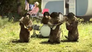 Bel été sur France 3 avec Les Marmottes Seventies / été 2015