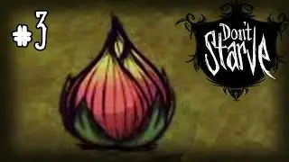 Don't Starve Прохождение: #3 - Приманкоцвет, Мясистая луковица