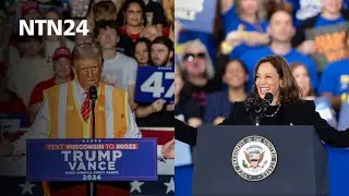 Trump o Harris: ¿Quién ha hecho un mejor marketing político en la campaña?