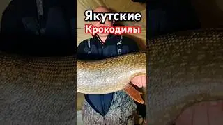 Якутские Крокодилы! ТАЙНЫ ЯКУТИИ!!! СМОТРИТЕ ПОЛНОЕ ВИДЕО!