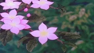 𝑨𝑴𝑽 • 𝐟𝐥𝐨𝐰𝐞𝐫𝐥𝐚𝐧𝐝 ❁❀✿
