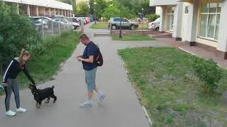 Встретили друга Митю