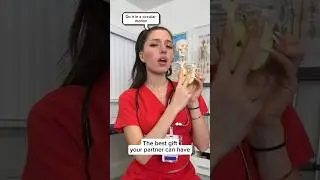 Explaining a dog how to eat an apple properly #shorts #dog #dogs