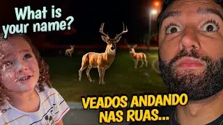 Noah tá falando 