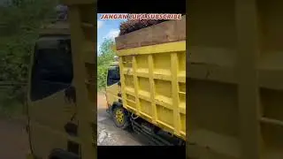 ga bisa ngapa ngapain 😴😭😪🤤 #shorts #trukoleng #mobiltruk #youtubeshorts #dumptruck