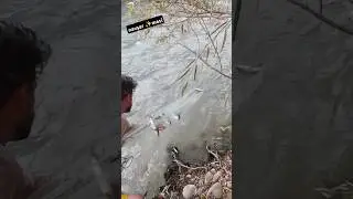 king fishing