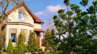 🏠Тихая Жизнь Вдали от Города 🌲Уютный Март☀️Будни Садоводов. Рецепт. Судак под Соусом 