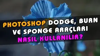 Photoshop Dodge Tool Ne İşe Yarar? Burn Nasıl Yapılır? Photoshop Sponge Nasıl Kullanılır? Ders