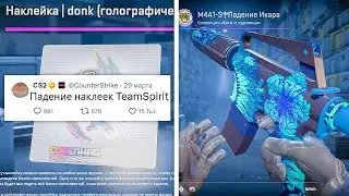 ПАДЕНИЕ ЦЕНЫ НА TEAM SPIRIT, ИНВЕСТИЦИИ В НАКЛЕЙКИ, ПОЛУФИНАЛ МАЖОРА, НОВЫЕ СКИНЫ В COUNTER-STRIKE 2