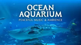 🦈 Ocean Aquarium | Underwater Ambience with Peaceful Music for Study, Sleep, and Relaxing