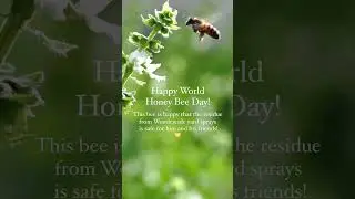 Happy World Honey Bee Day! 🐝