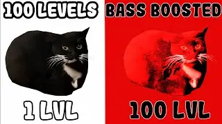 Maxwell The Cat 100 levels bass boosted