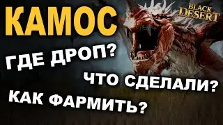 КАМОС: Где дроп? Новое расписание. Фарм боссов в БДО (BDO - Black Desert)