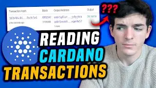 How to read Cardano (ADA) transactions! A simple & practical guide