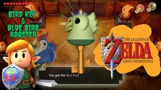 Bird Key & Blue Birb Rooster to Open the Tower Walkthrough #walkthrough #linksawakening #nintendo