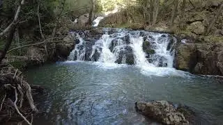 Spring Stroll in Yalova 🌿The Revel of Nature in Armutlu🔥