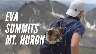 Eva Summits Mt. Huron! | Colorado 14er