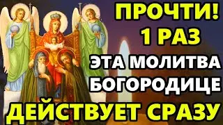 Самая Сильная Молитва Богородице которая действует сразу! ПРОЧТИ ВСЕ БЕДЫ УЙДУТ! Православие