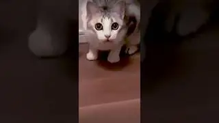 🧐