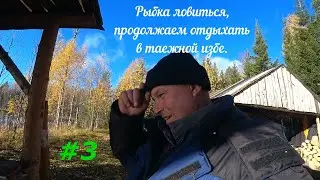 Продолжаю рыбачить на озере/таежный быт у избы/3 серия