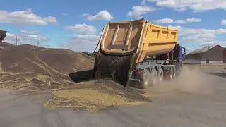 Урожай-2020