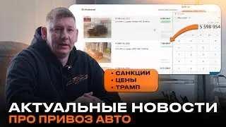 КУРСЫ ВНИЗ! Самое время покупать авто! Сравнение цен на машины под заказ и в наличии!