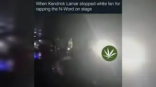 When K-Dot Stopped White Fan For Rapping The N-Word On Stage