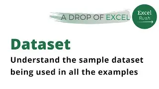 A Drop of Excel | Understanding the dataset used in the examples