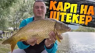 Ловля карпа на ШТЕКЕР! Тонкости и секреты штекерной ловли!