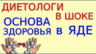 Лечение запретным питанием. Профилактика и лечение даже Депрессии и Импотенции Целебное питание ч8