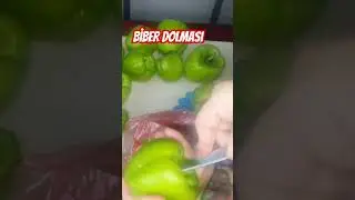 biber dolması nasıl hazırlanır🫑 biber dolması tarifi #trend #keşfet #yemektarifleri