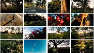 I think iPhone 12 has quite a good video camera : IMHO